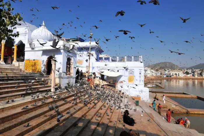 Framed Print : Ghats at Holy Pushkar Lake and old Rajput Palaces, Pushkar, Rajasthan, India, Asia Framed Print : Ghats at Holy Pushkar Lake and old Rajput Palaces, Pushkar, Rajasthan, India, Asia