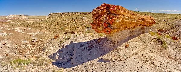 A giant petrified log on a sandstone pedestal on the edge of the Blue Mesa in Petrified