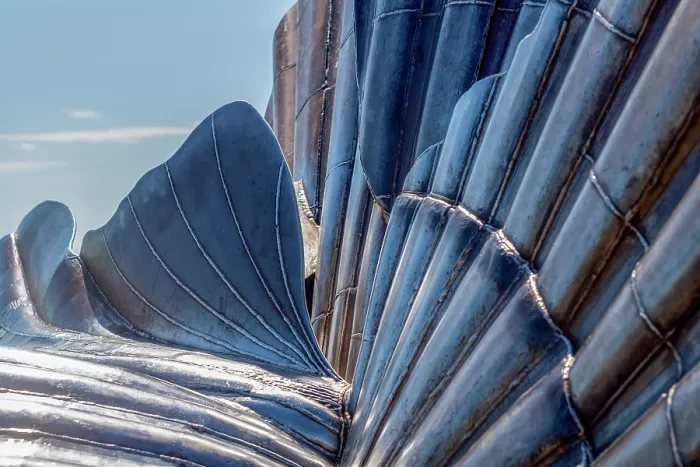 Framed Print : Detail of giant scallop shell sculpture on the shingle beach at Aldeburgh, United Kingdom Framed Print : Detail of giant scallop shell sculpture on the shingle beach at Aldeburgh, United Kingdom