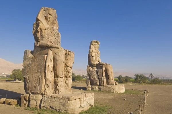 Two giant statues known as the Colossi of Memnon carved to represent the pharaoh Amenhotep III of the dynasty XVIII, West bank of the River Nile, Thebes, UNESCO World Heritage Site, Egypt, North