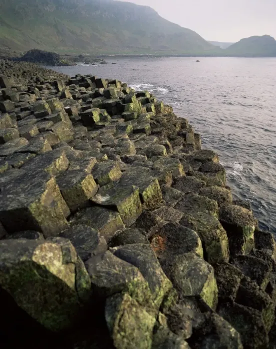 Framed Print : Giants Causeway Framed Print : Giants Causeway