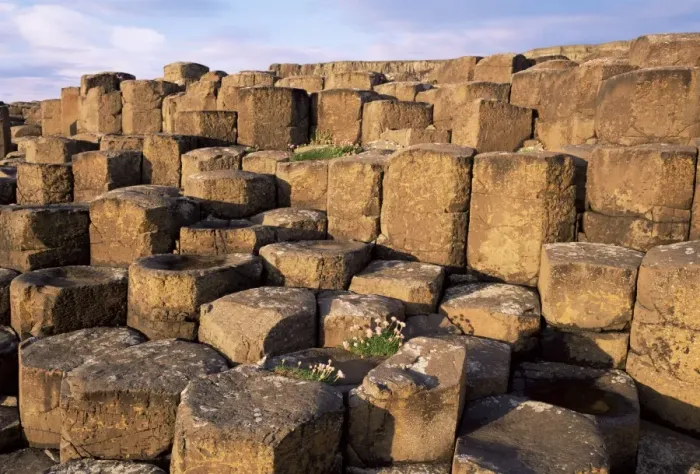 Framed Print : The Giants Causeway, UNESCO World Heritage Site, Co Framed Print : The Giants Causeway, UNESCO World Heritage Site, Co