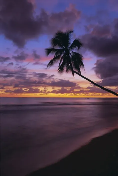 Framed Print : Gibbes Bay at sunset, Barbados, West Indies, Caribbean, Central America Framed Print : Gibbes Bay at sunset, Barbados, West Indies, Caribbean, Central America