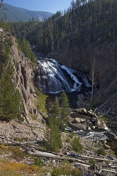 Gibbon Falls, Yellowstone National Park, Wyoming, UNESCO World Heritage Site, Wyoming, United States of America, North America