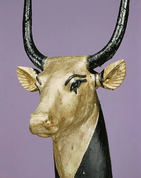 Gilded and stuccoed wooden head of the sacred cow, from the tomb of the pharaoh Tutankhamun