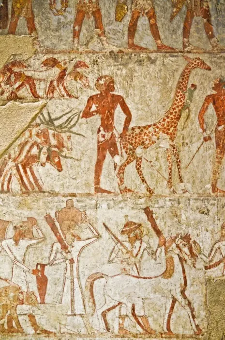 Framed Print : Giraffe among the tribute from Nubia, Tomb of Rekhmire, West Bank, Thebes Framed Print : Giraffe among the tribute from Nubia, Tomb of Rekhmire, West Bank, Thebes