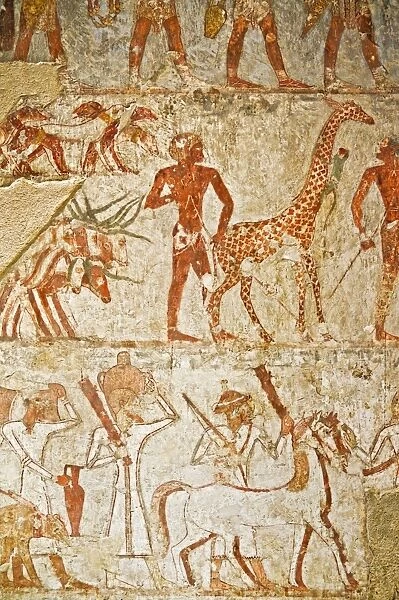 Giraffe among the tribute from Nubia, Tomb of Rekhmire, West Bank, Thebes