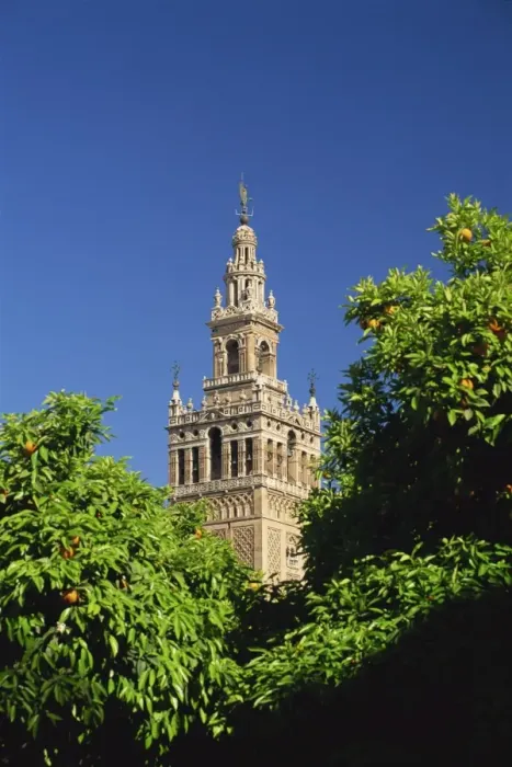 Framed Print : The Giralda framed by orange trees Framed Print : The Giralda framed by orange trees