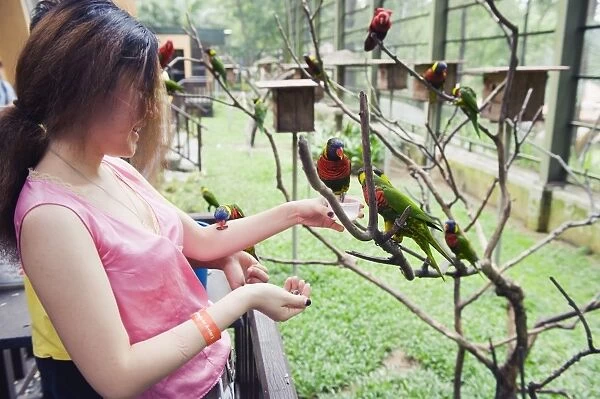Girl feeding parakeets in World of Parrots, KL Bird Park, Kuala Lumpur