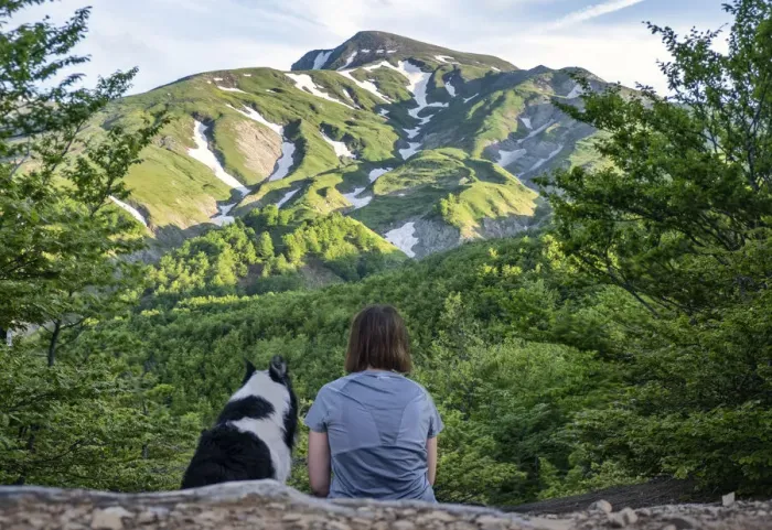Framed Print : A girl sitting beside her border collie dog staring at a mountain landscape of Cusna Mountain, Emilia Romagna, Italy, Europe Framed Print : A girl sitting beside her border collie dog staring at a mountain landscape of Cusna Mountain, Emilia Romagna, Italy, Europe