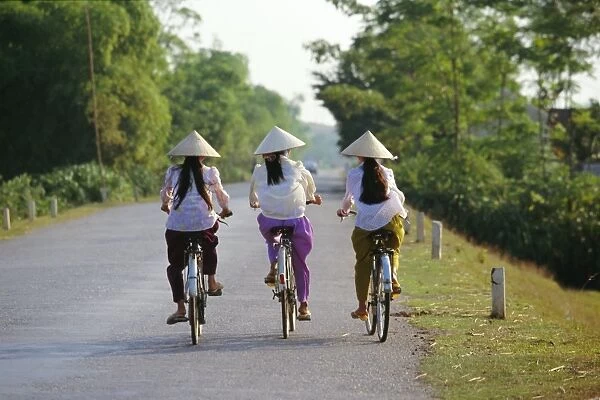 Three girls in conical hats cycling on rural road north of Hanoi