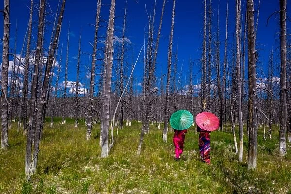 Two girls with parasols in Burnt Forest, Yellowstone National Park, Wyoming, United