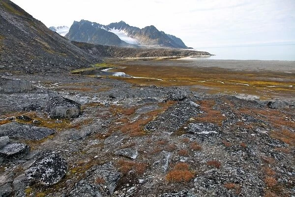 Glacial foreshore, Magdalenefjord, Svalbard Looking west