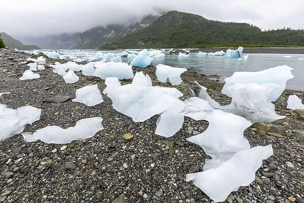 Glacial ice stranded on the beach at low tide in the East arm of Glacier Bay National