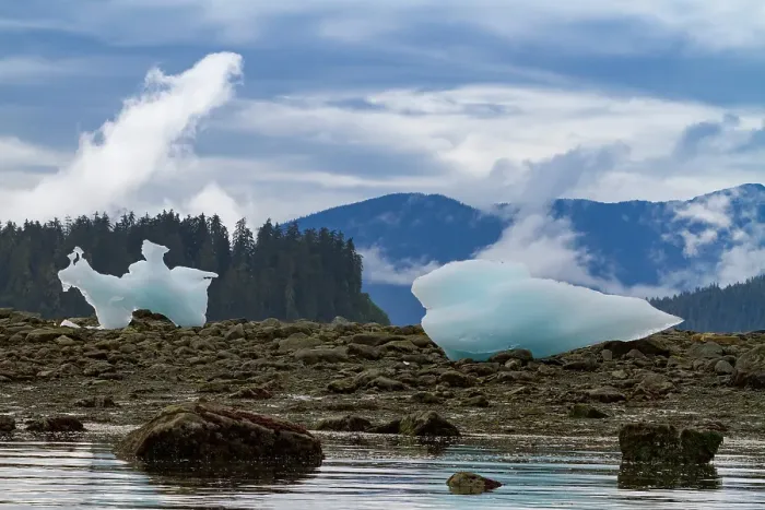 Framed Print : Glacial iceberg detail from ice calved off the LeConte Glacier near Petersberg, Southeast Alaska, United States of America