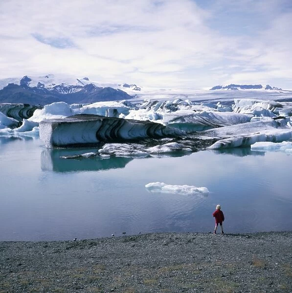 A glacial lagoon with icebergs carved from Varnajokull glacier
