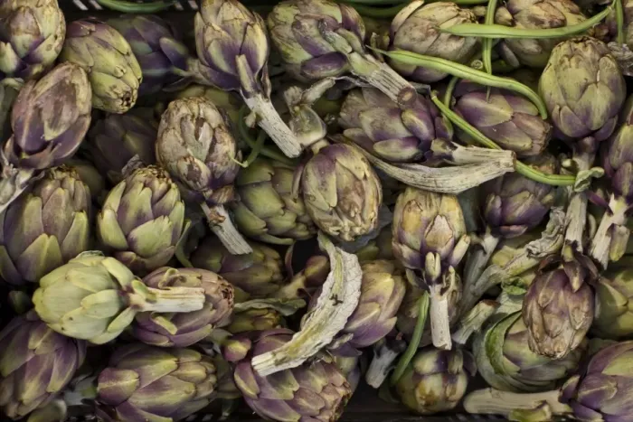 Framed Print : Globe artichokes, one of the local vegetables at the Sunday morning market, Pollenca, Tramuntana, Mallorca, Balearic Islands, Spain, Europe