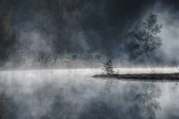 The gloomy atmosphere created by the sun illuminating the mist rising from the ponds of the Nature Reserve of Pian di Gembro, Lombardy, Italy, Europe