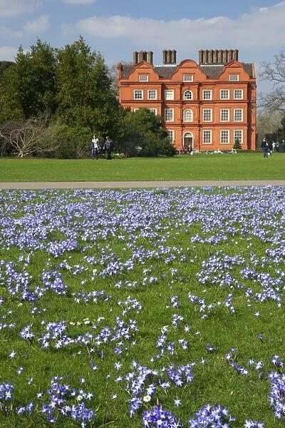 Glory of the Snow flowers in lawns near Kew Palace in spring, Royal Botanic Gardens, Kew, UNESCO World Heritage Site, London, England, United Kingdom, Europe