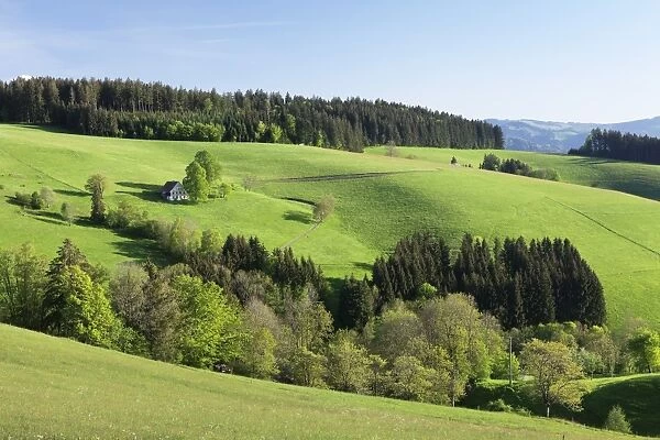 Glottertal Valley, Black Forest, Baden Wurttemberg, Germany, Europe