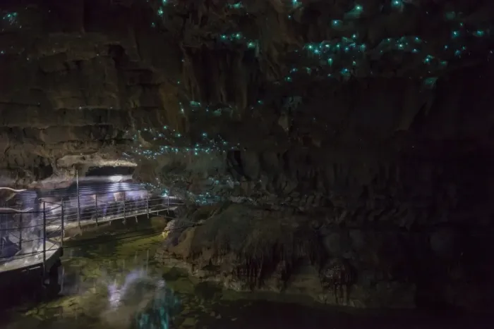 Framed Print : Glow worms in Waitomo Caves, Waikato Region, North Island, New Zealand, Pacific Framed Print : Glow worms in Waitomo Caves, Waikato Region, North Island, New Zealand, Pacific