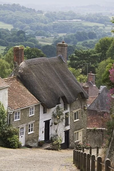 Gold Hill in June, Shaftesbury, Dorset, England, United Kingdom, Europe