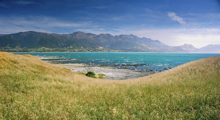 Framed Print : Golden Coastal Grass Sloping Toward Turquoise Sea with the Seaward Kaikoura Range in the Background, Kaikoura Peninsula, New Zealand Framed Print : Golden Coastal Grass Sloping Toward Turquoise Sea with the Seaward Kaikoura Range in the Background, Kaikoura Peninsula, New Zealand