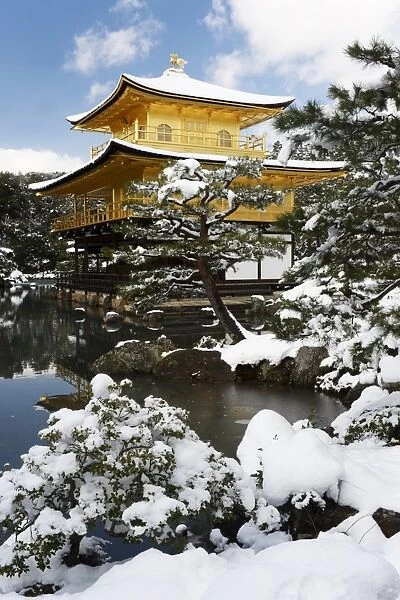 Golden Pavilion (Kinkaku-ji), UNESCO World Heritage Site, in winter, Kyoto, Japan, Asia