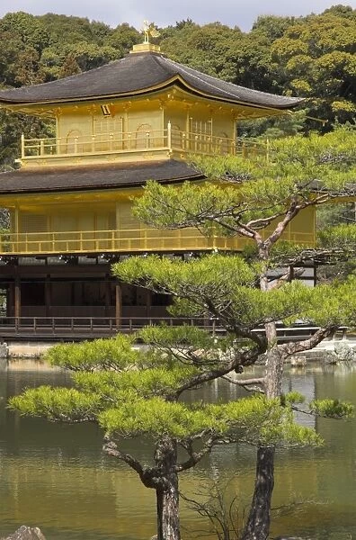 Golden pavilion with lake and tree in foreground