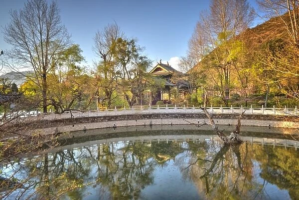 Golden reflections with pool, trees and pagoda at Jade Spring Park in Lijiang, Yunnan, China, Asia