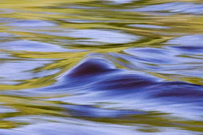 Framed Print : Golden ripples in the Kettle River Framed Print : Golden ripples in the Kettle River