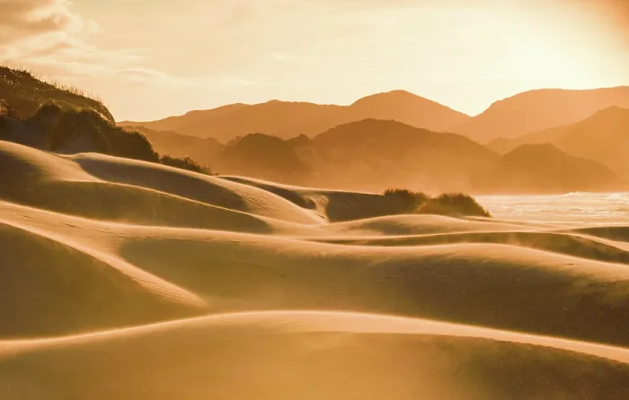 Framed Print : Golden Sand Dunes and Sunset-Hued Hills at Remote Wharariki Beach Near Cape Farewell, South Island, New Zealand Framed Print : Golden Sand Dunes and Sunset-Hued Hills at Remote Wharariki Beach Near Cape Farewell, South Island, New Zealand