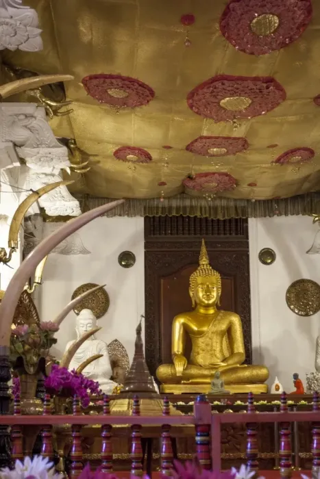 Framed Print : Golden sitting Buddhist statue, Temple of the Sacred Tooth Relic, UNESCO World Heritage Site, Kandy, Sri Lanka, Asia Framed Print : Golden sitting Buddhist statue, Temple of the Sacred Tooth Relic, UNESCO World Heritage Site, Kandy, Sri Lanka, Asia