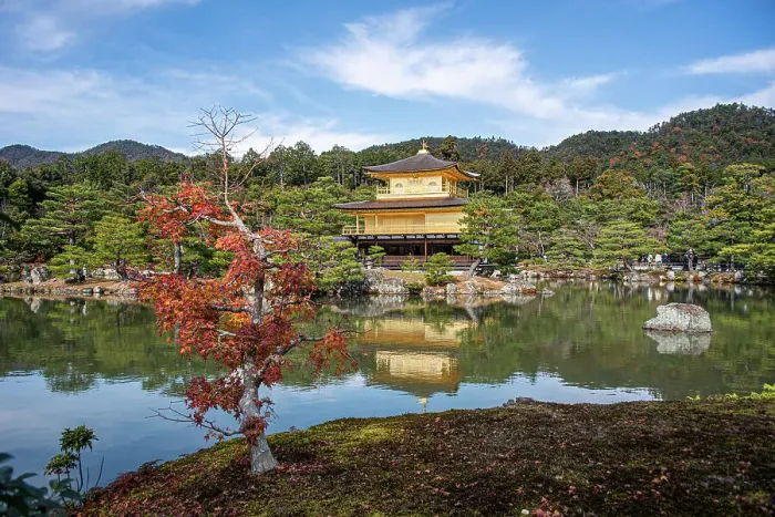 Framed Print : Golden Temple (Kinkaku-ji) (Temple of the Golden Pavilion), UNESCO World Heritage Site, Kyoto, Honshu, Japan, Asia Framed Print : Golden Temple (Kinkaku-ji) (Temple of the Golden Pavilion), UNESCO World Heritage Site, Kyoto, Honshu, Japan, Asia