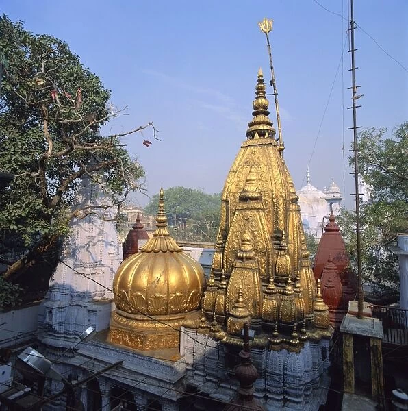 The Golden Temple of Vishwanath