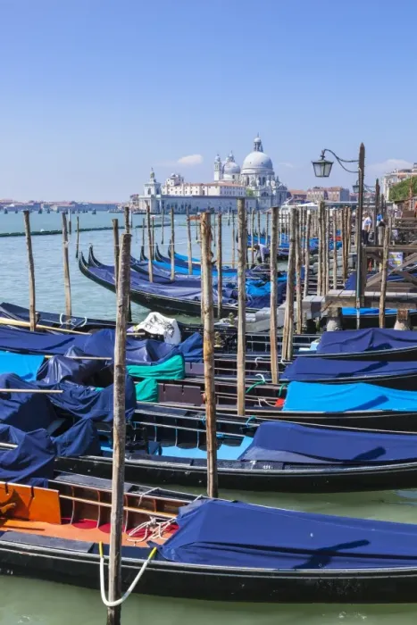 Framed Print : Gondolas moored in the Bacino di San Marco (St. Marks Basin), waterfront, Venice Framed Print : Gondolas moored in the Bacino di San Marco (St. Marks Basin), waterfront, Venice