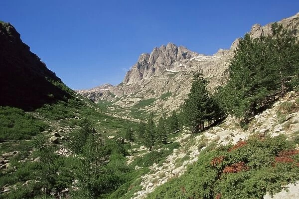 Gorges de la Restonica, Bergerie de Grottelle, Corsica, France, Europe