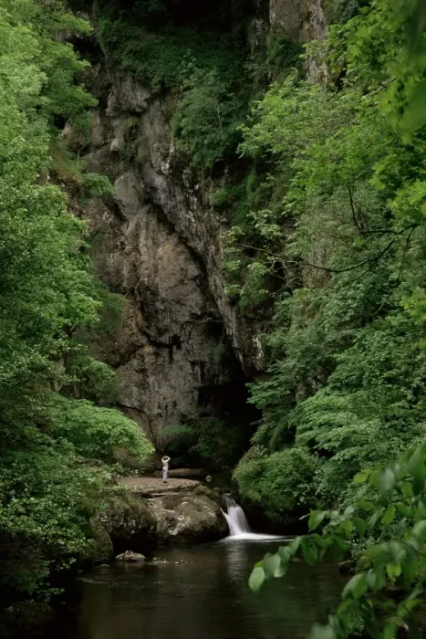 Framed Print : Gorges of the River Cere, Cantal mountains, Auvergne, France, Europe Framed Print : Gorges of the River Cere, Cantal mountains, Auvergne, France, Europe