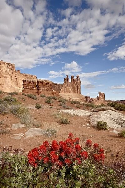 The Three Gossips and common paintbrush (Castilleja chromosa), Arches National Park