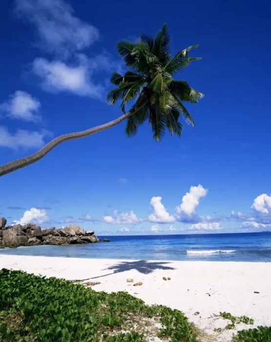 Framed Print : Grand Anse Framed Print : Grand Anse