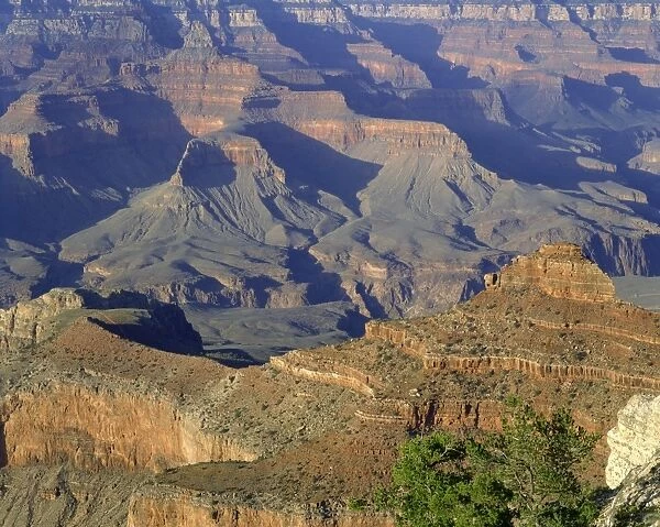 The Grand Canyon viewed from Mather Point, UNESCO World Heritage Site, Arizona