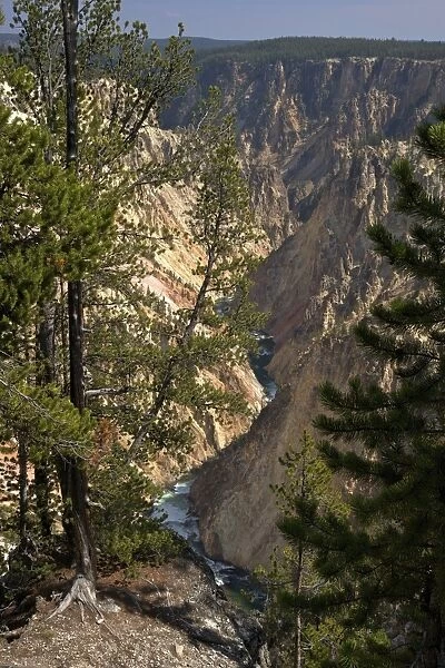 Grand Canyon of the Yellowstone River, from Grand View, Yellowstone National Park, UNESCO World Heritage Site, Wyoming, United States of America, North America