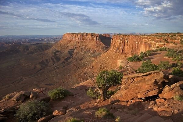 Grand View Point Overlook, Canyonlands National Park, Utah, United States of America, North America