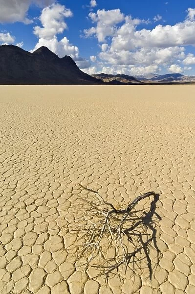 The Grandstand in Racetrack Valley, a dried lake bed known for its sliding rocks on the Racetrack Playa, Death Valley National Park, California, United States of America