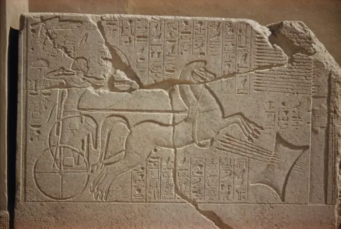 Framed Print : Granite slab showing Tutmose IV shooting arrows through lead pillow, Luxor Museum Framed Print : Granite slab showing Tutmose IV shooting arrows through lead pillow, Luxor Museum