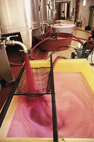 Grape juice being poured into fermentation tanks, Chateau Crozet Bages