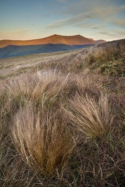 Grass and mountain peak at sunrise, Conor Pass, Dingle Peninsula, County Kerry, Munster