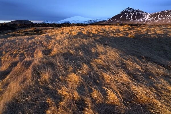 Grassy landscape and snow-covered mountains bathed in winter light in the hamlet of Budir in Stadarsveit on the Snaefellsnes Peninsula, Iceland, Polar Regions