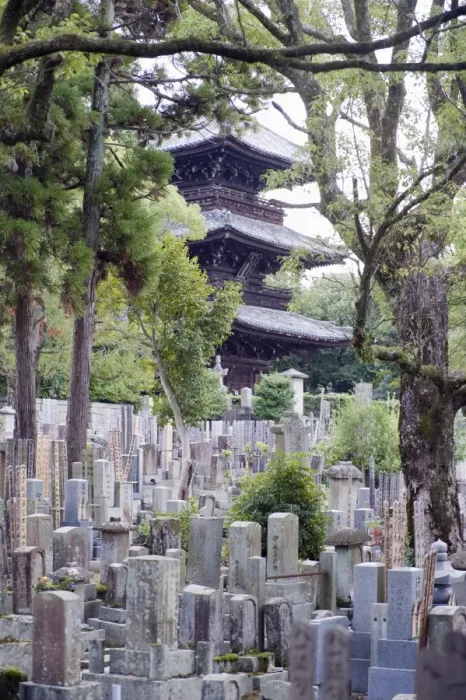 Framed Print : Grave stones and pagoda in a cemetery, Shinnyo do Temple, Kyoto, Japan, Asia