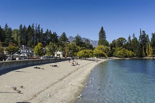 Gravel beach in Queenstown, Otago, South Island, New Zealand, Pacific